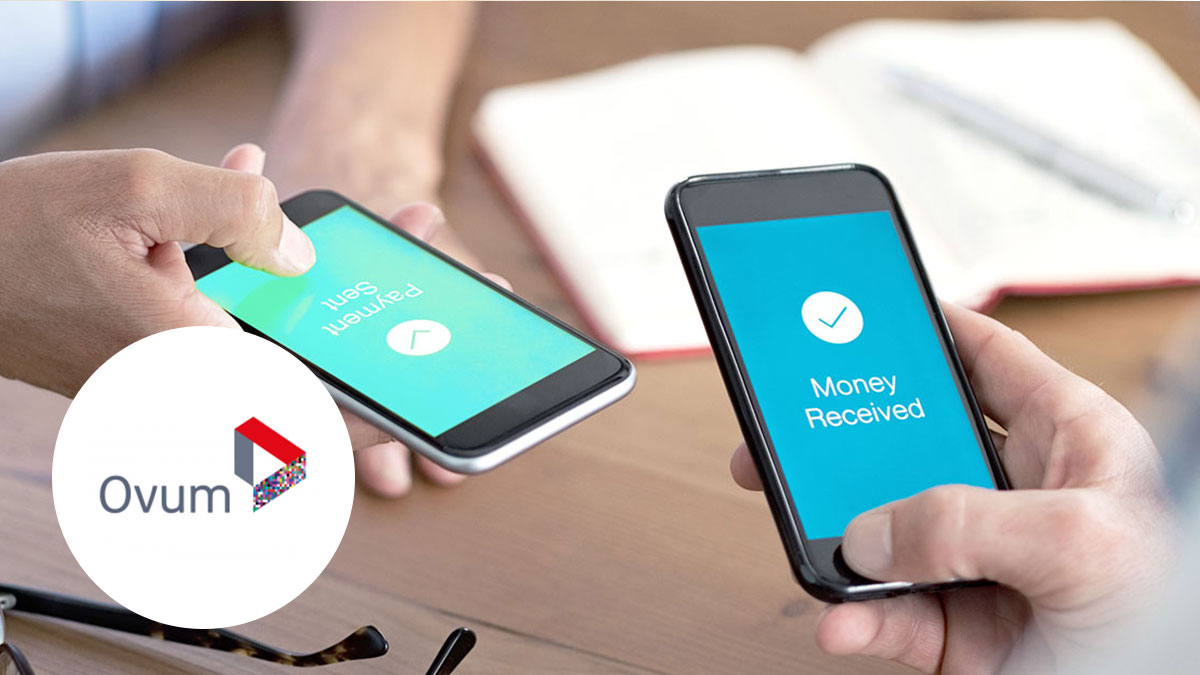 Real-Time Payments and Liquidity Survey