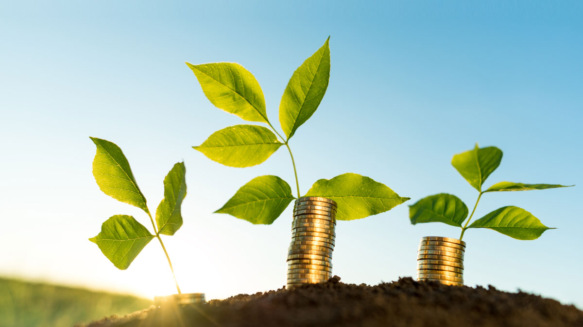 Merchant Lending: Growing Your Account Holder Base