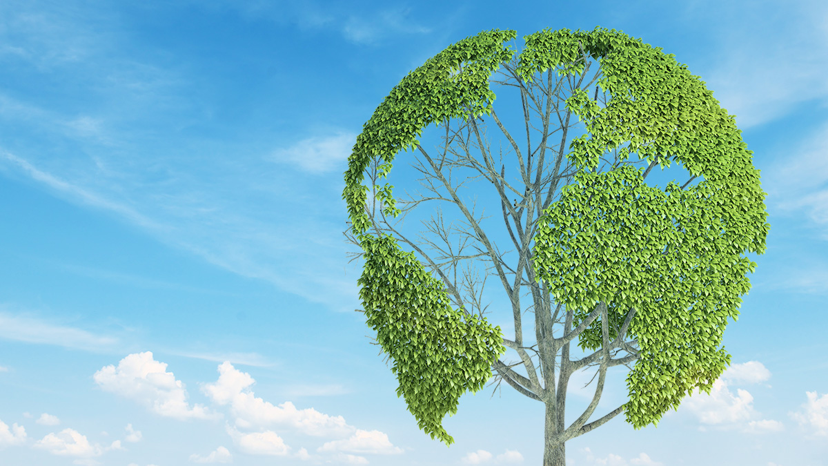 World Environment Day 2021 - Reimagine. Recreate. Restore