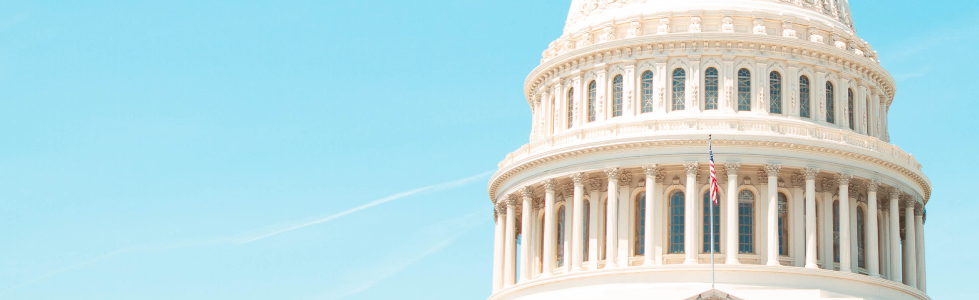 The Paycheck Protection Program