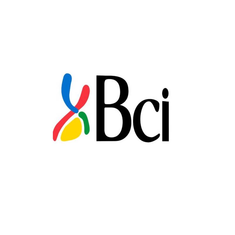 Banco de Credito e Inversiones (BCI) -Success Story