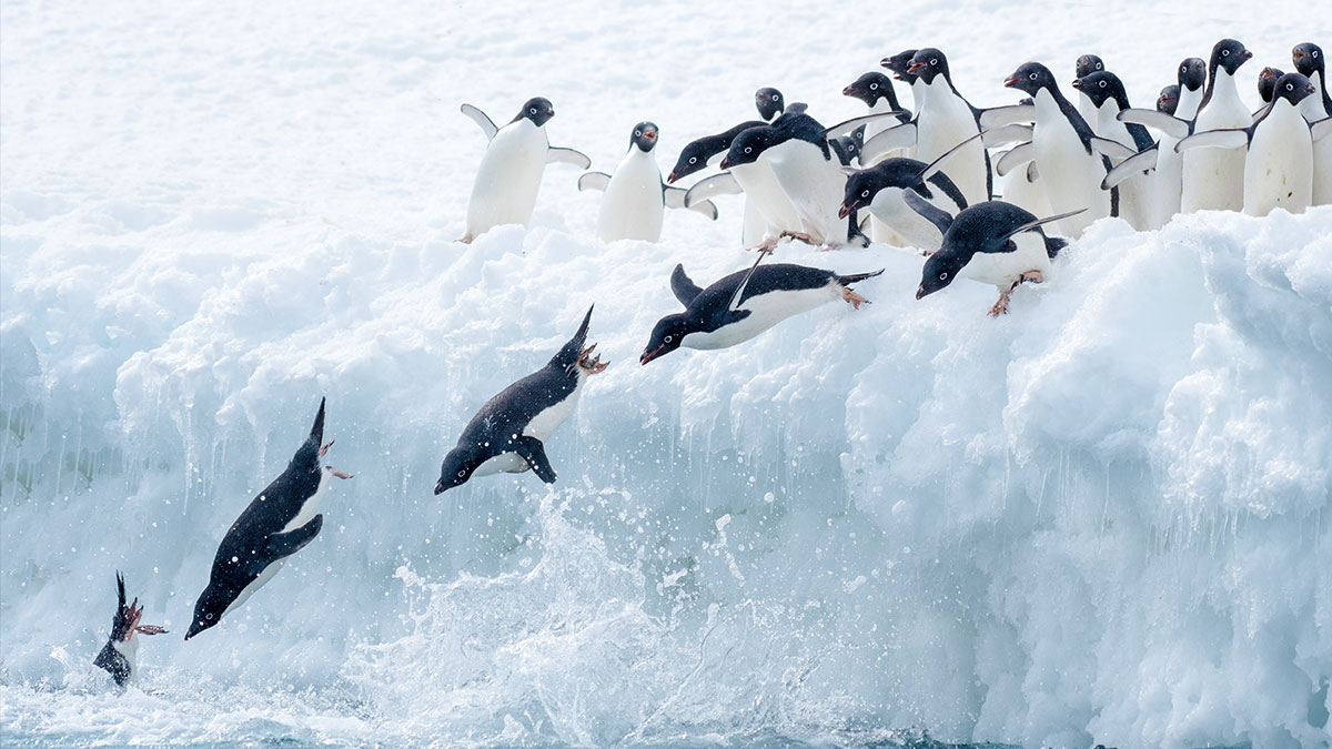 Top Italian Bank, Credem Goes Live with Temenos Infinity in the Cloud to Deliver Frictionless Digital Experiences