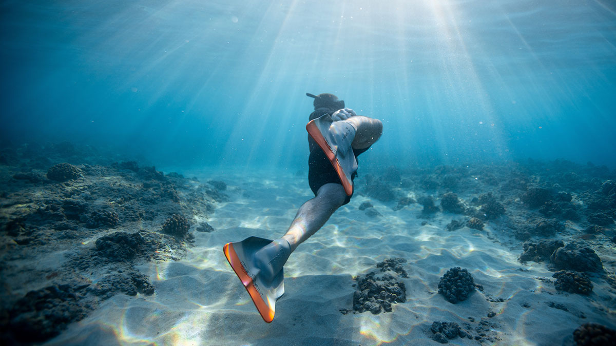 Temenos Recognized as a Leader in The Forrester Wealth Wave