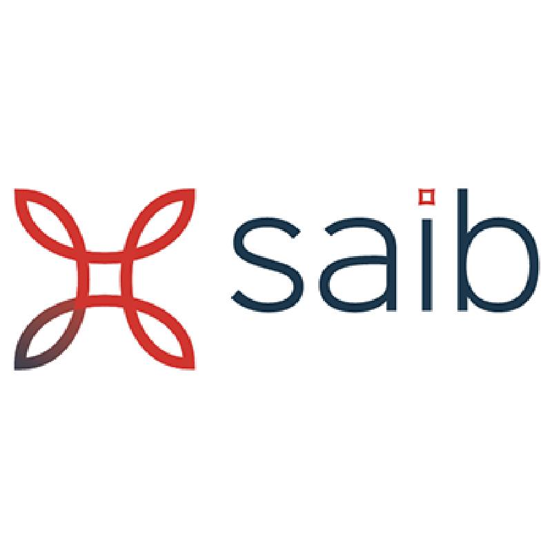 Societe Arabe Internationale de Banque (saib) - Success Story