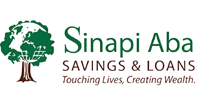 Sinapi Aba – Success Story