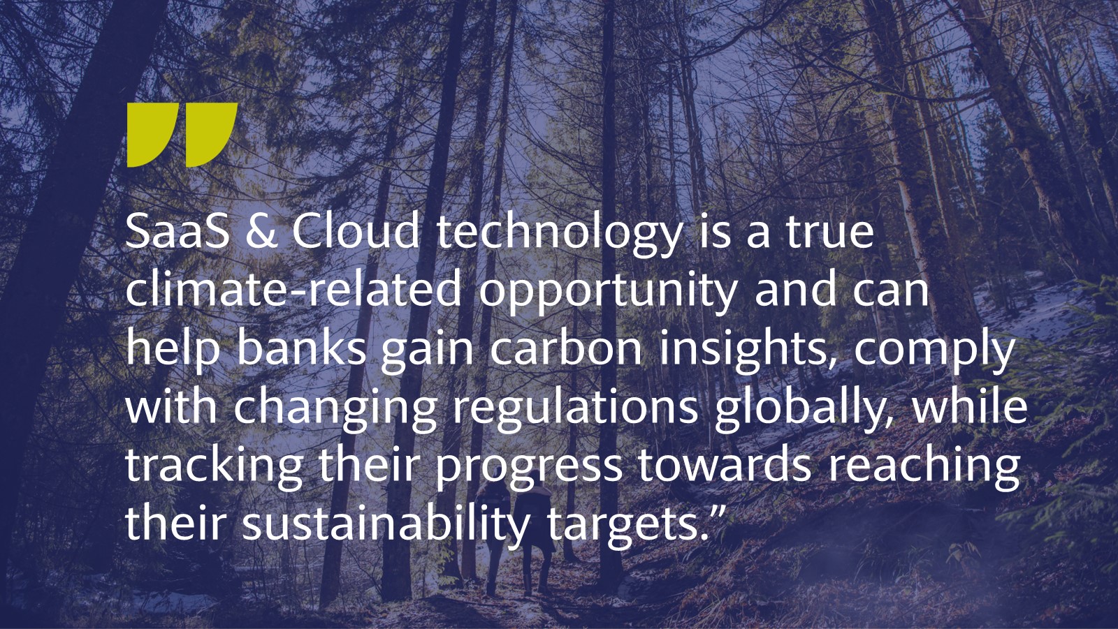 SaaS & Cloud Technology can help banks gain carbon insights and track progress towards sustainability targets