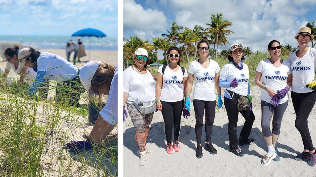 People in matching shirts plant sea grass on a sunny beach. Another group poses, smiling, with palm trees and blue sky in the background. Environmental volunteer work.