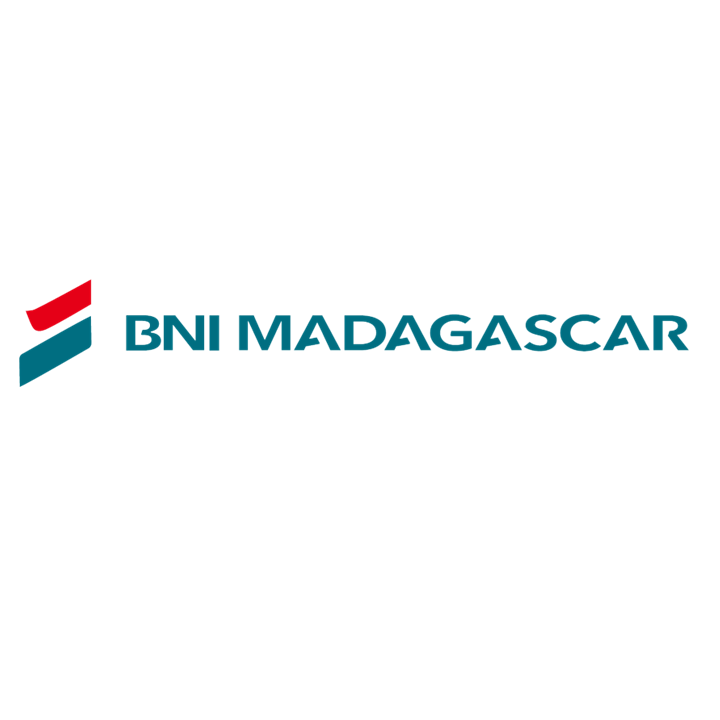 BNI Madagascar - Success Story